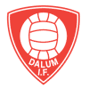 Dalum IF Dalum IF