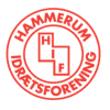 Hammerum IF