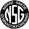 Nørre Snede GF Nørre Snede GF