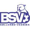 BSV