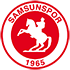 Samsunspor